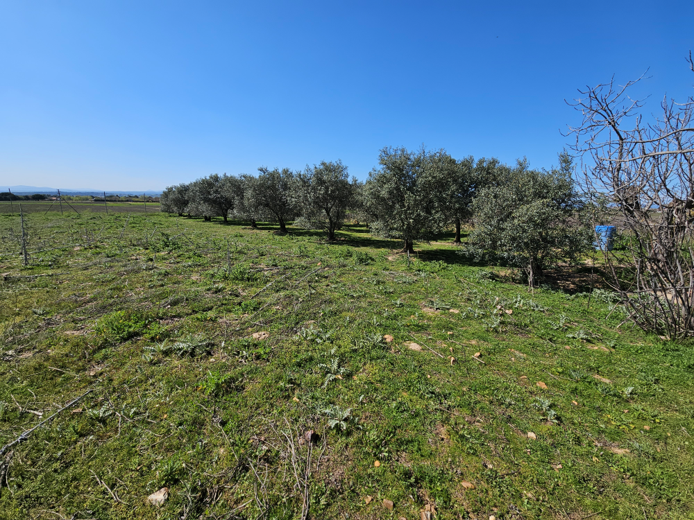 Finca Rustica Alalpardo