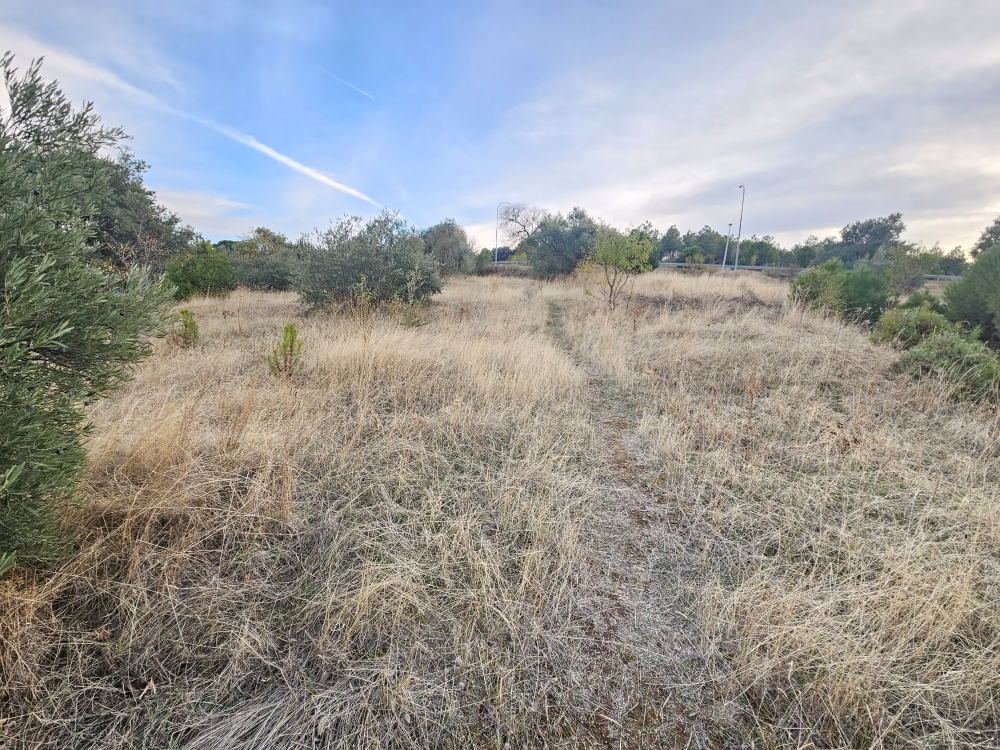 Parcela en la urbanización EL Coto, Rio Tajuña .El Casar.