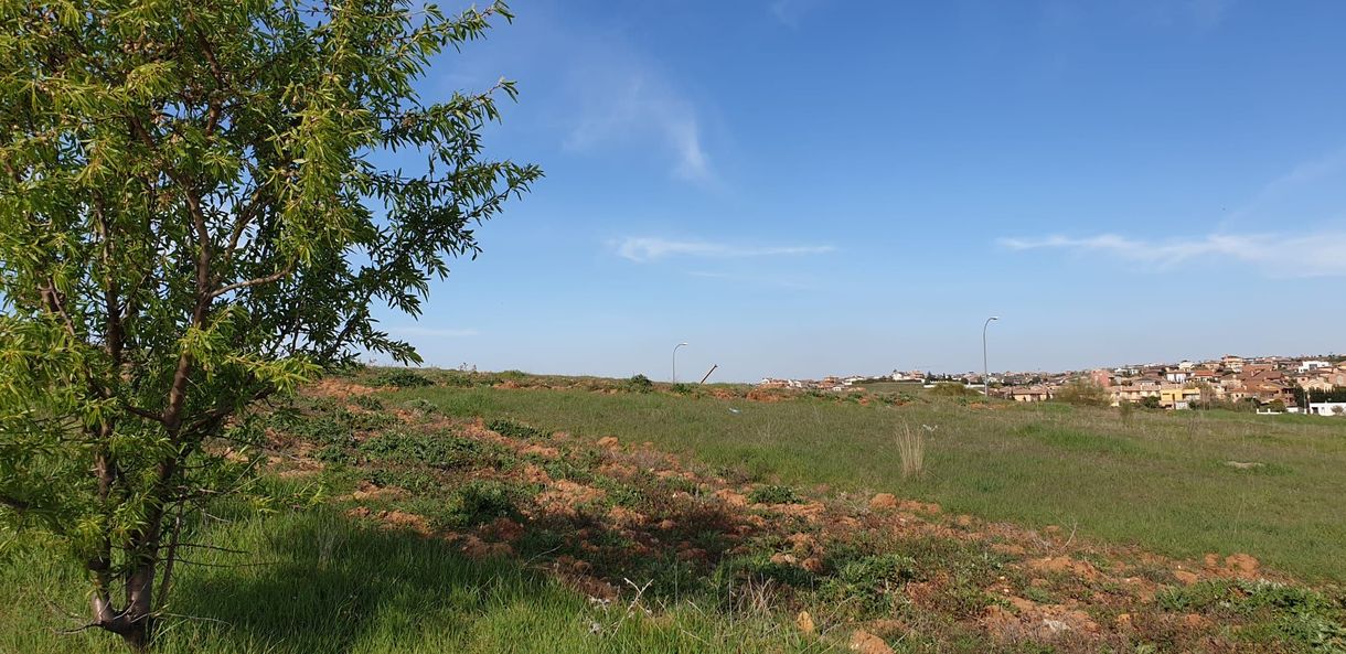 Terreno en venta prado verde con cielo azul